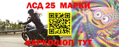 гидра Краснодар